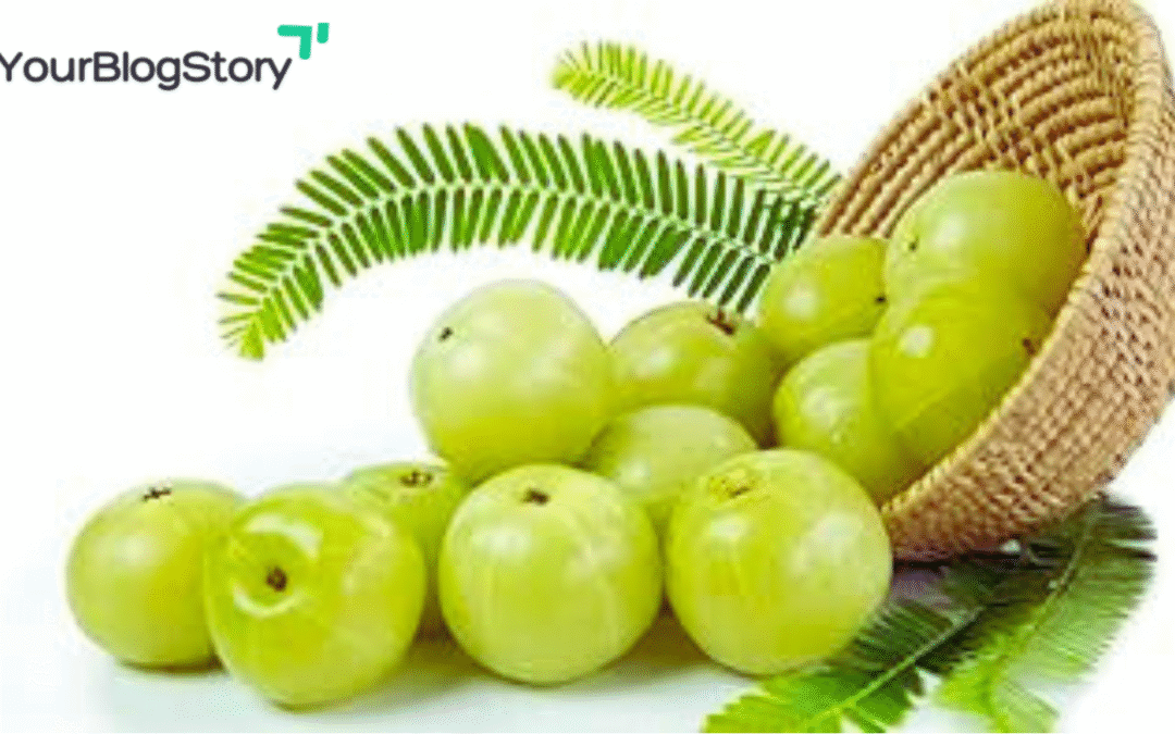 Amla Indian Gooseberry Health Benefits, Recipes, Uses & Buying Guide